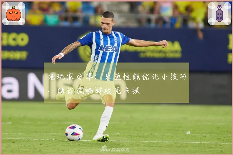 老玩家分享：乐鱼性能优化小技巧，助你流畅游戏无卡顿