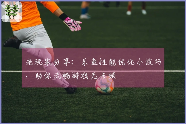 老玩家分享：乐鱼性能优化小技巧，助你流畅游戏无卡顿